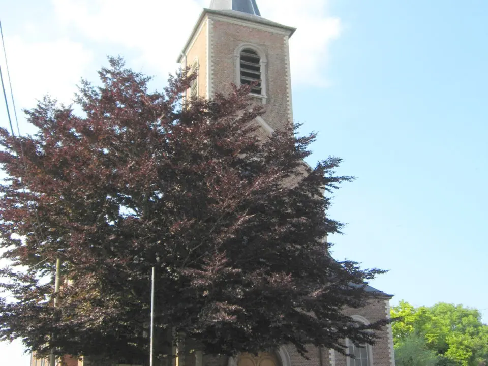 Commune Enines