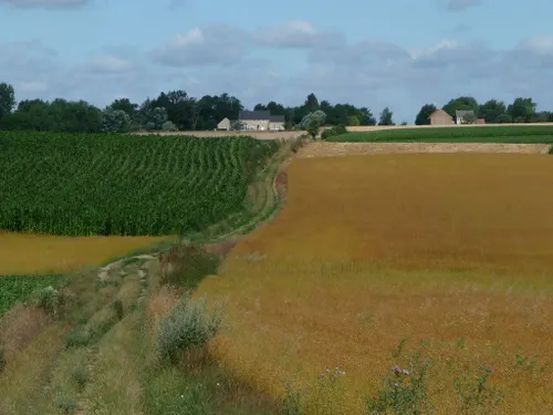 Commune de Lathuy